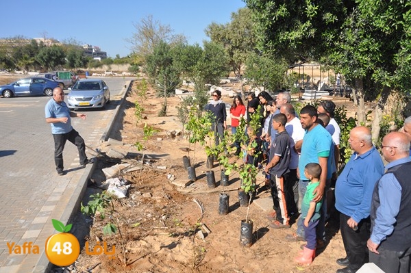 ashjar taso 0328 (3).JPG